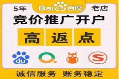 SEM优化师如何提升广告点击率——以某电商平台的成功案例为例